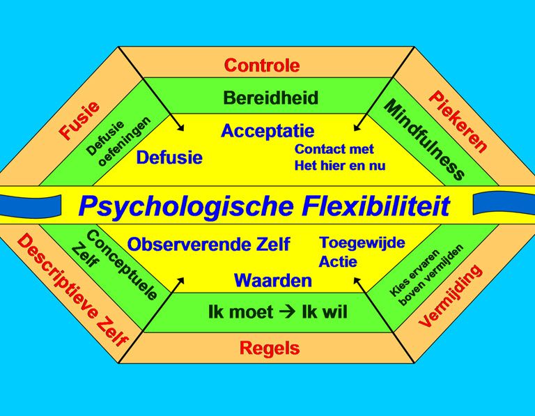 act_psychologische_flexibiliteit-1-768x597